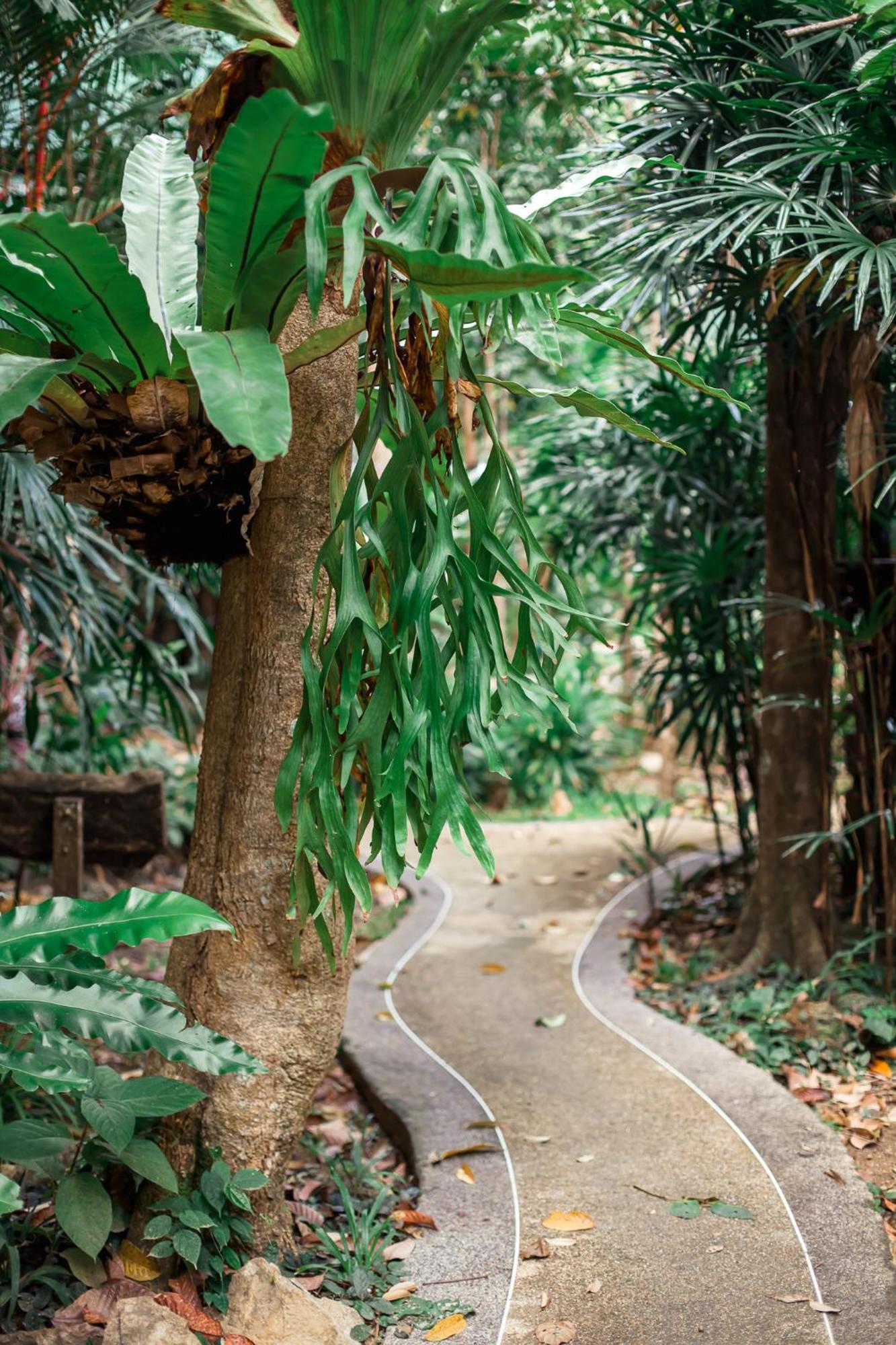 The Vatika Resort And Spa Ao Nang Kültér fotó